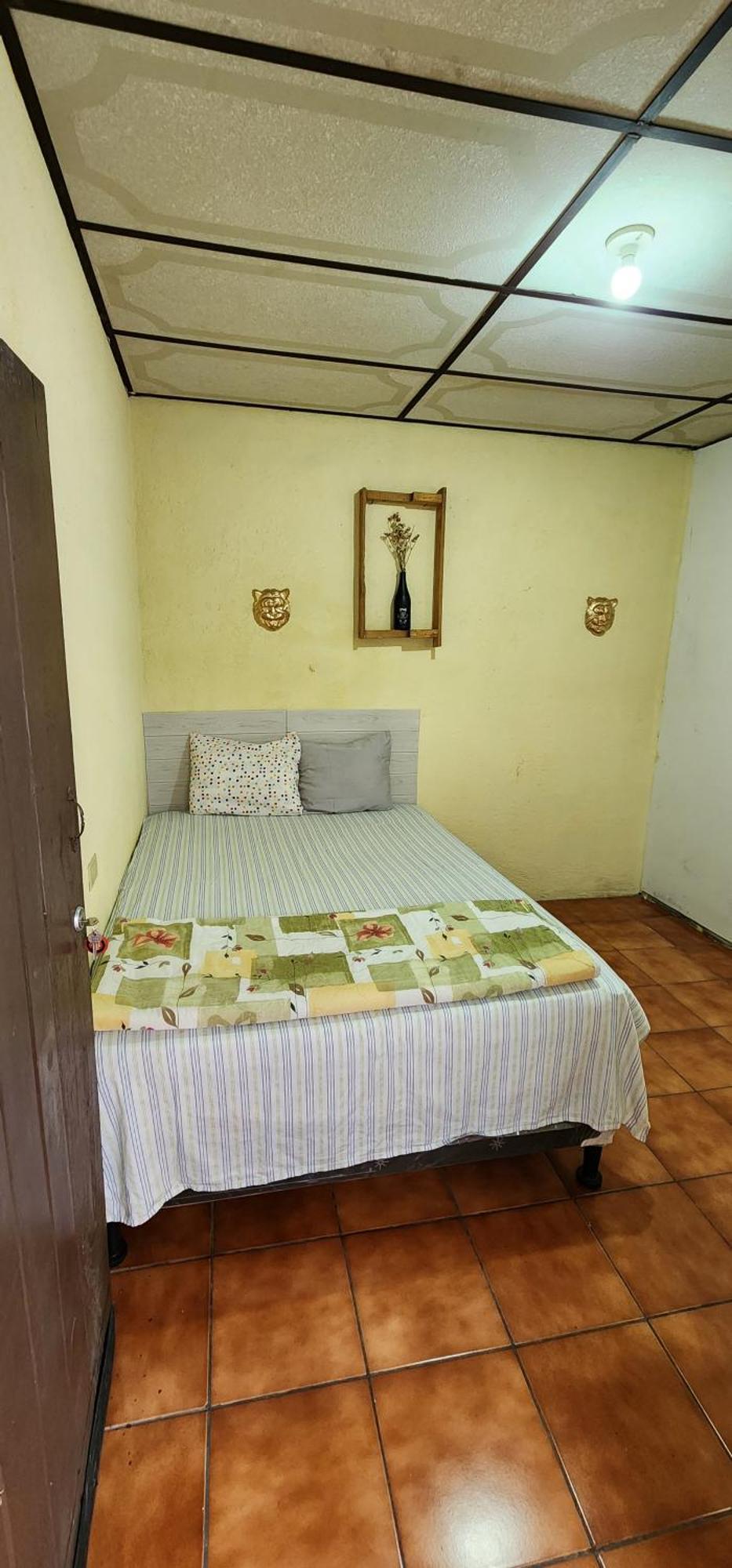 Jaguar Basic Accommodation Antigua Екстер'єр фото