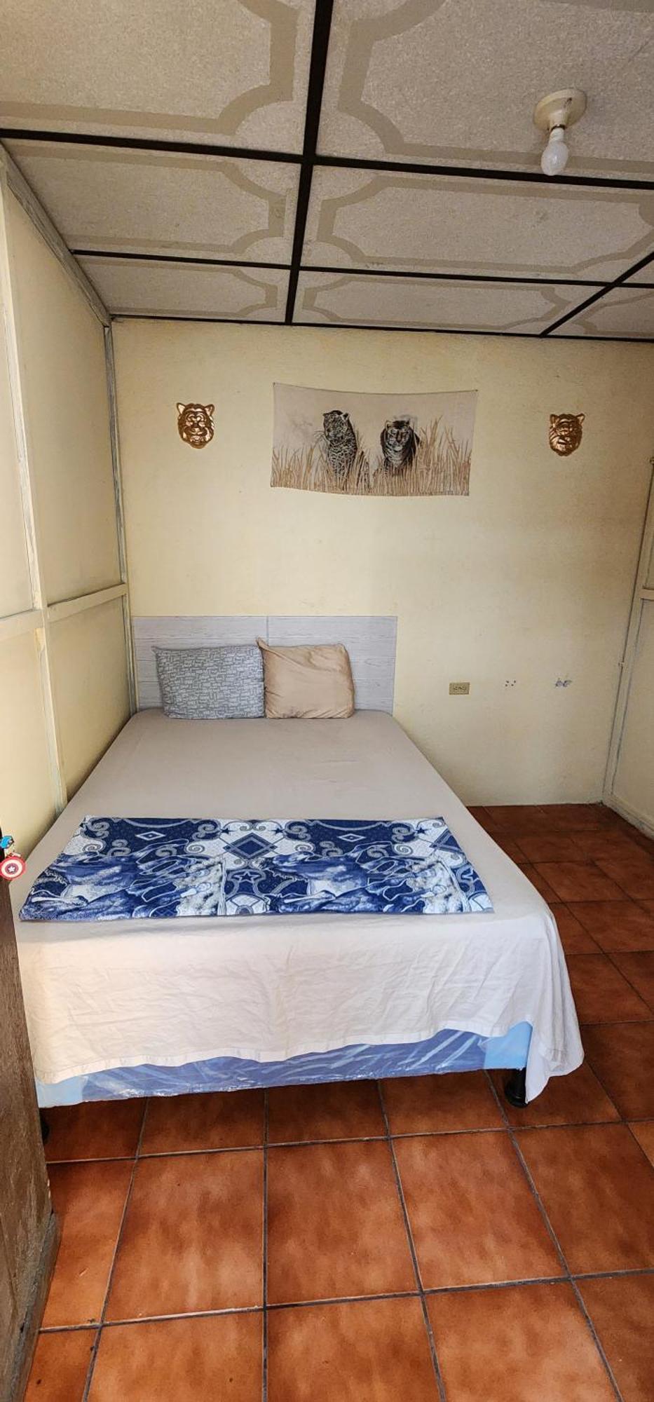 Jaguar Basic Accommodation Antigua Екстер'єр фото